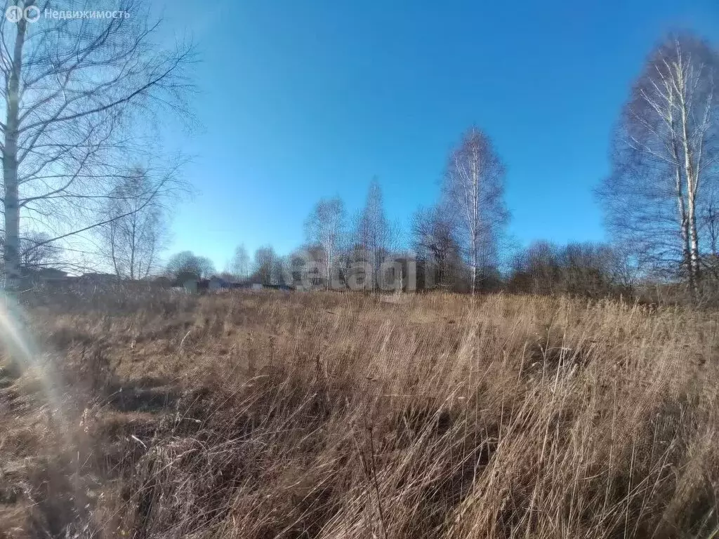 Участок в Калужская область, Перемышльский муниципальный округ, ... - Фото 2