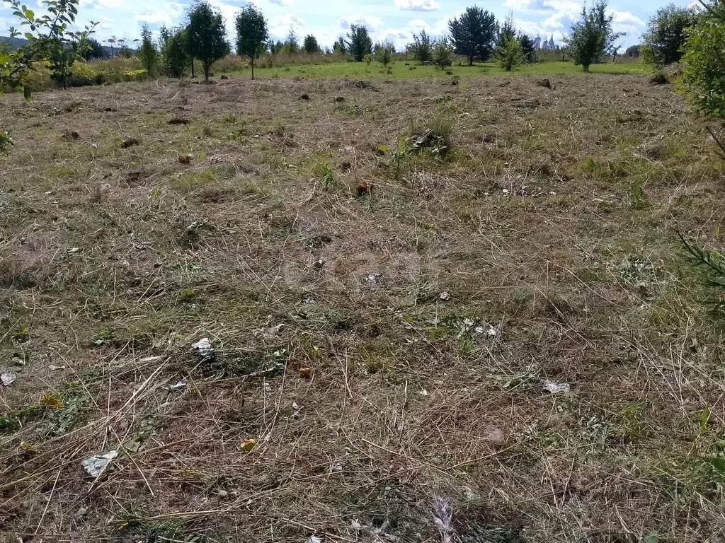 Участок в Костромская область, Галич ул. Ивана Бирцева (9.6 сот.) - Фото 1