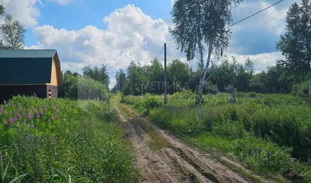 Участок в Тюменская область, Нижнетавдинский район, Сочинские СНТ 33-я ... - Фото 1