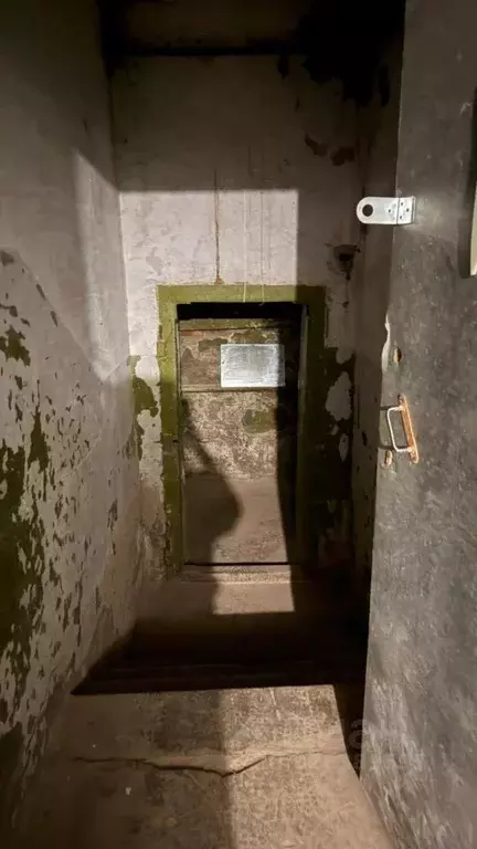 Помещение свободного назначения в Кировская область, Киров ул. Ленина, ... - Фото 2