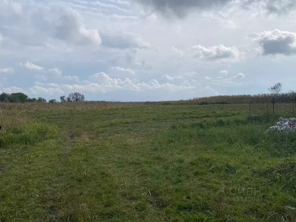 Участок в Ростовская область, Азовский район, Рогожкино хут. ... - Фото 0