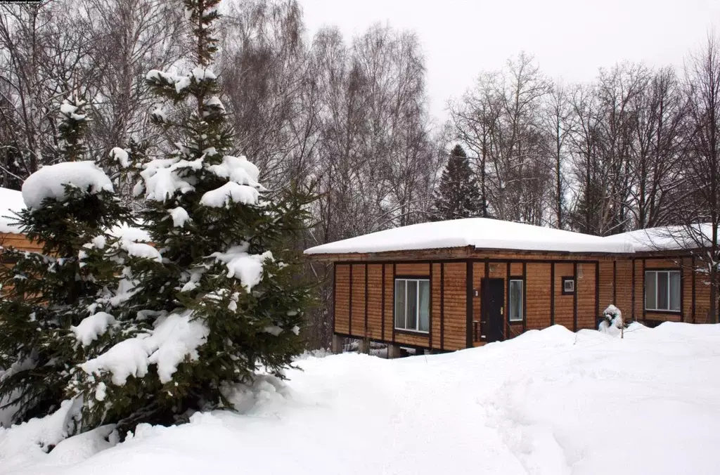 Дом в Московская область, Чехов муниципальный округ, д. Прохорово ул. ... - Фото 2
