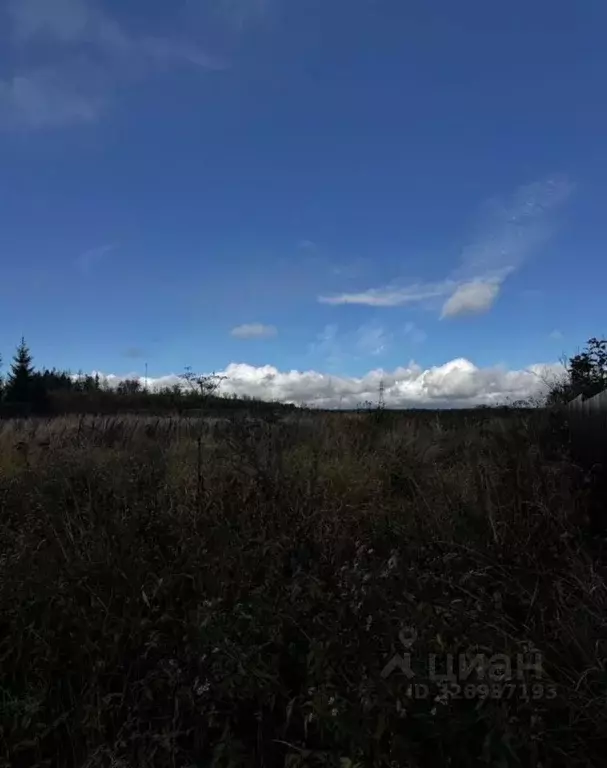 Участок в Московская область, Солнечногорск городской округ, Транс СНТ ... - Фото 1