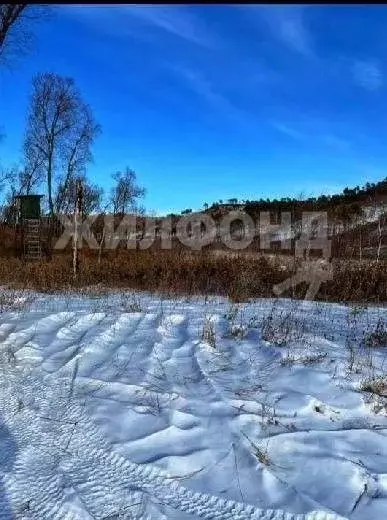 Участок в Амурская область, Благовещенский район, с. Чигири ул. ... - Фото 0