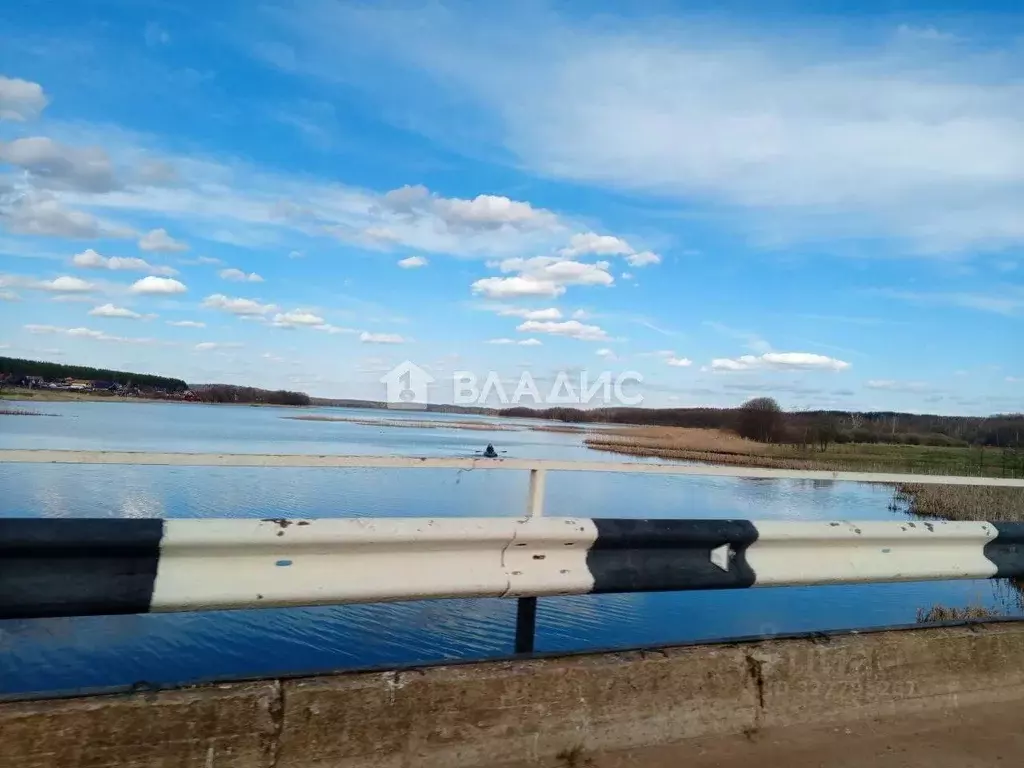 Участок в Нижегородская область, Богородский муниципальный округ, д. ... - Фото 2