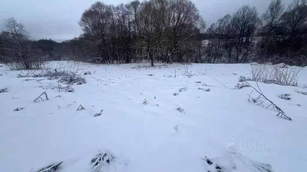 Участок в Московская область, Истра муниципальный округ, д. Бодрово  ... - Фото 1