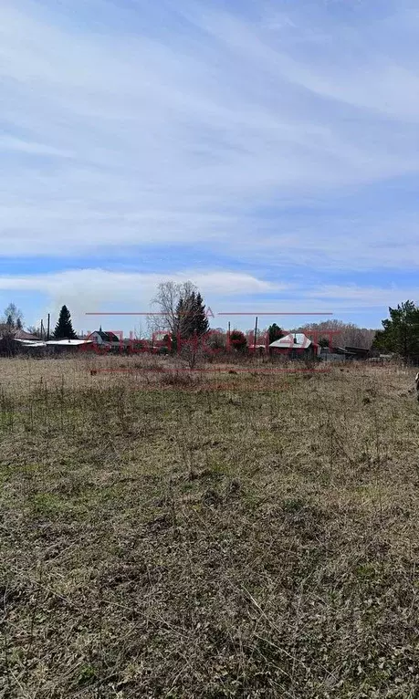 Участок в Новосибирская область, Мошковский район, пос. Кошево ... - Фото 1