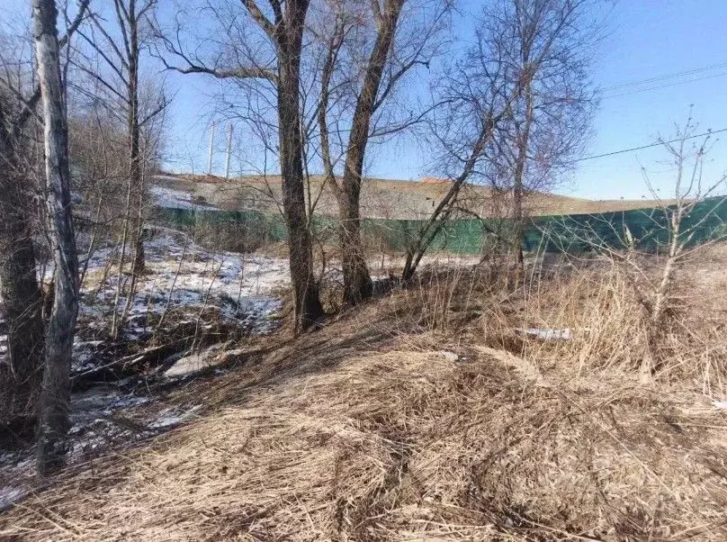 Участок в Московская область, Химки городской округ, д. Подолино, ... - Фото 0