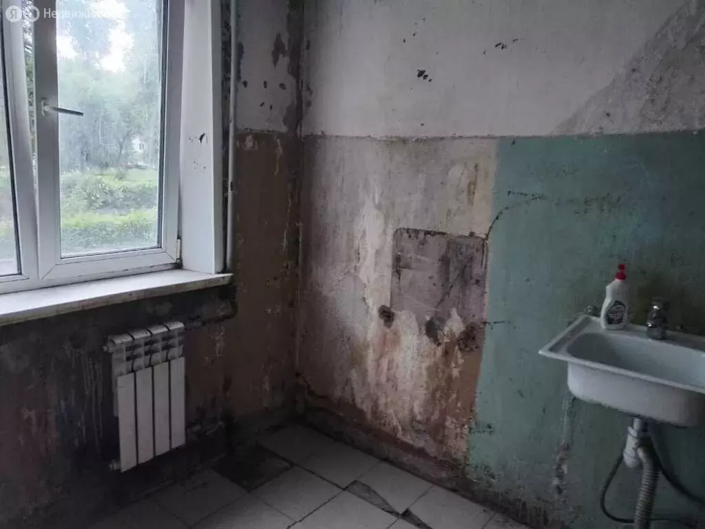 1-комнатная квартира: Новокузнецк, проспект Дружбы, 38 (31.9 м) - Фото 0
