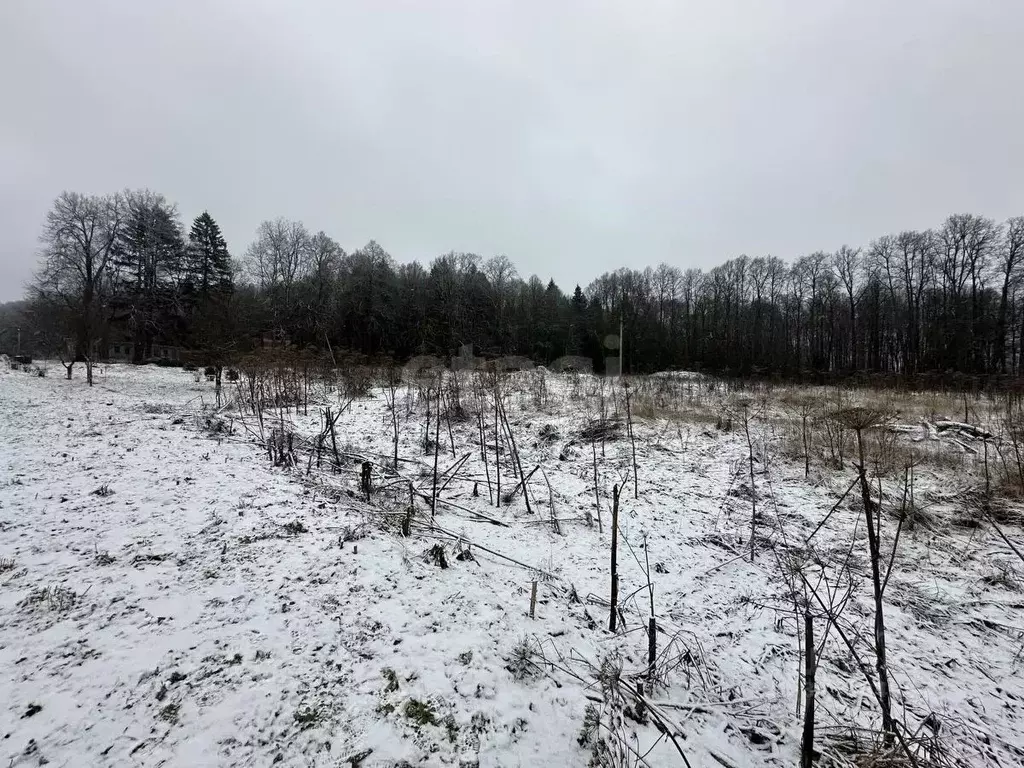 Участок в Москва № 307 кв-л, 1 (600.0 сот.) - Фото 1