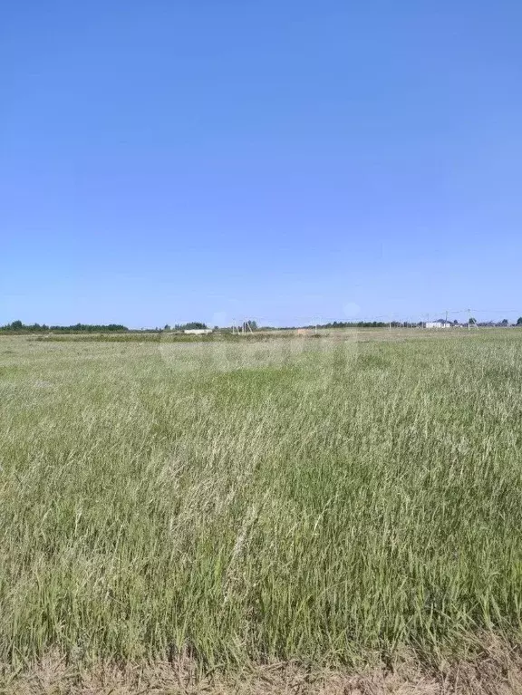 Участок в Тюменская область, Тюмень  (4.1 сот.) - Фото 2