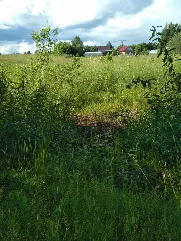 Участок в Новгородская область, Шимское городское поселение, деревня ... - Фото 0