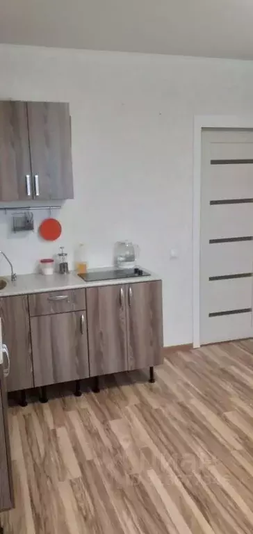 Студия Санкт-Петербург пос. Шушары, Московское ш., 262к3 (24.0 м) - Фото 1
