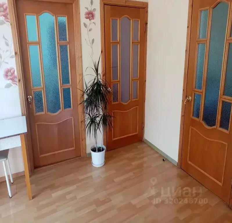2-к кв. Краснодарский край, Геленджик Курзальная ул., 59 (55.0 м) - Фото 1