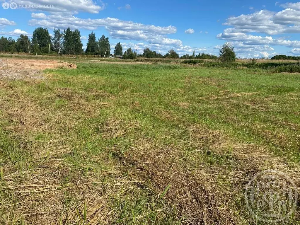 Участок в Скребловское сельское поселение, деревня Старая Серёдка (30 ... - Фото 1