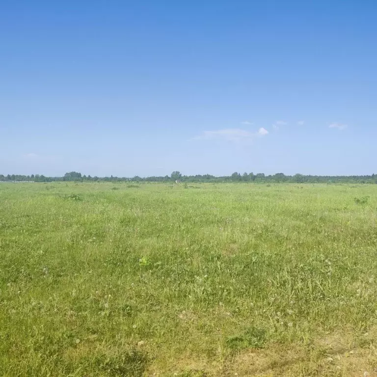 Участок в Пермский край, Пермский муниципальный округ, д. Качка ул. ... - Фото 1