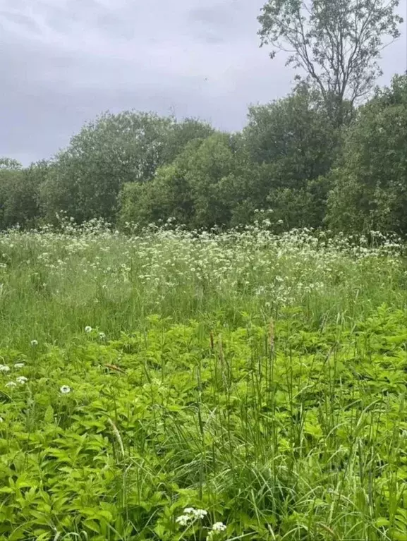 Участок в Карелия, Олонец  (11.0 сот.) - Фото 1