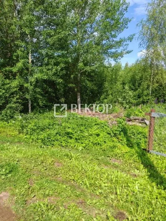 Участок в Ивановская область, Ивановский район, Новоталицкое с/пос, ... - Фото 1