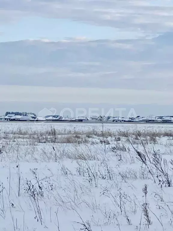 Участок в Тюменская область, Тюменский район, с. Горьковка  (6.4 сот.) - Фото 0