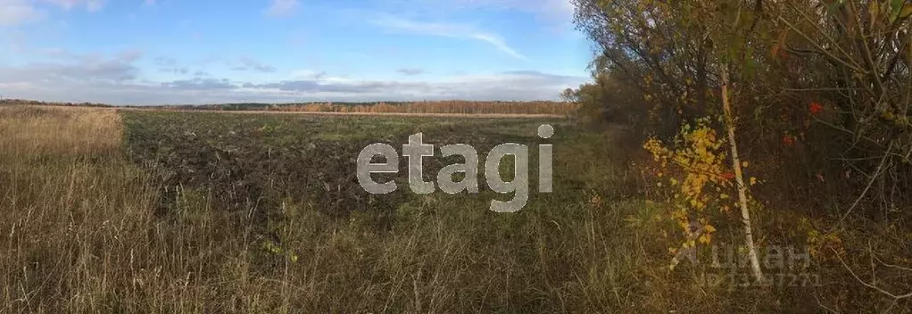 Участок в Свердловская область, Нижний Тагил городской округ, с. ... - Фото 1