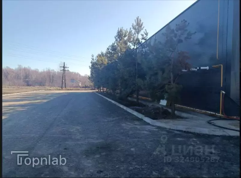 Торговая площадь в Алтайский край, Первомайский район, с. Санниково, ... - Фото 2