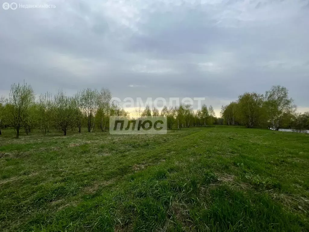 Участок в Московская область, Раменский муниципальный округ, село ... - Фото 2