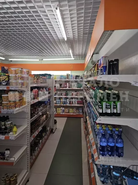 Торговая площадь в Новосибирская область, Новосибирск ул. В. ... - Фото 1