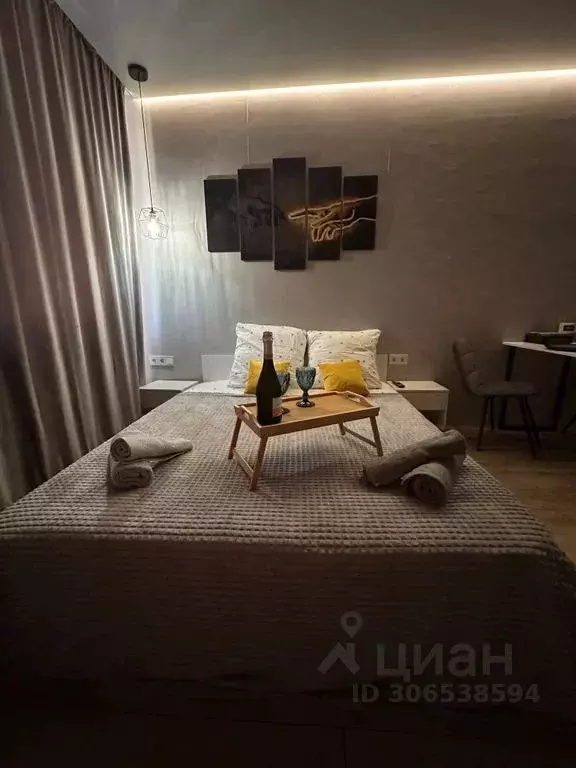 Студия Московская область, Долгопрудный Парковая ул., 46 (30.0 м) - Фото 1
