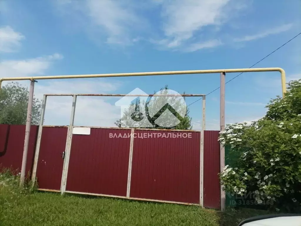 Участок в Новосибирская область, Новосибирский район, с. Плотниково ... - Фото 0