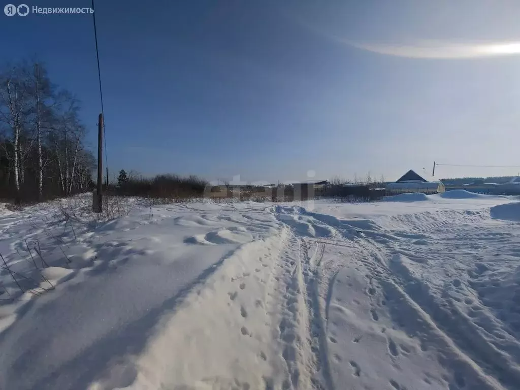 Участок в Курган, СТ Малиновка-8, Лесная улица (5.5 м) - Фото 2