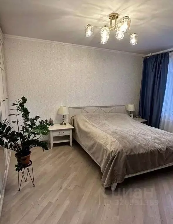 1-к кв. Санкт-Петербург Новоколомяжский просп., 12К1 (34.0 м) - Фото 1