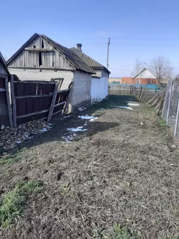 Дом в Краснодарский край, Щербиновский район, Старощербиновская ст-ца ... - Фото 1