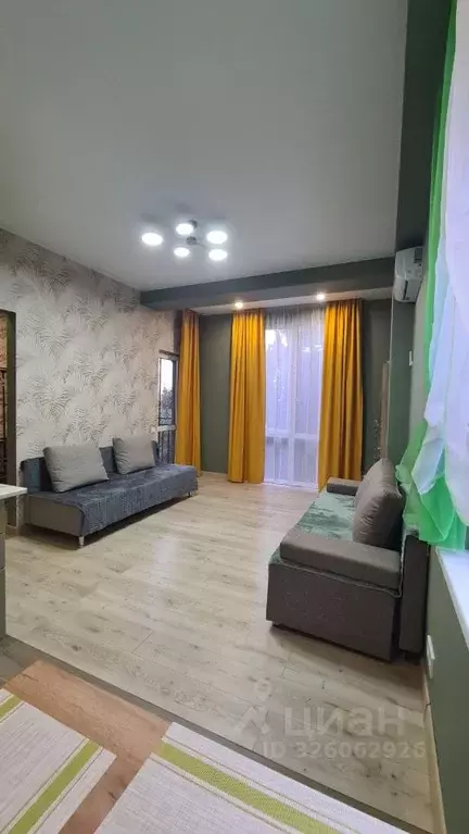 Студия Краснодарский край, Сочи Блиново мкр, ул. Лесная, 2/3 (29.0 м) - Фото 2