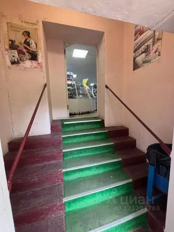 Торговая площадь в Новгородская область, Великий Новгород ул. ... - Фото 2