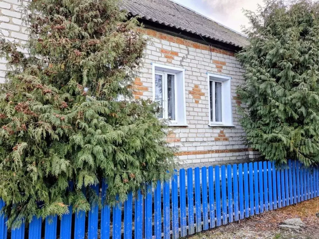 Дом в Курская область, Льговский район, с. Большие Угоны ул. Кончанка ... - Фото 1