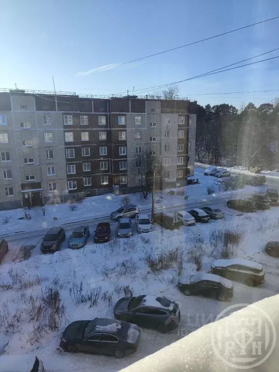 3-к кв. Ленинградская область, Луга ул. Миккели, 11 (80.3 м) - Фото 2