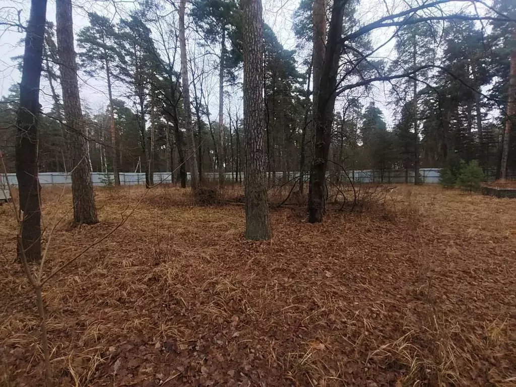 Участок в Московская область, Серпухов городской округ, д. Лужки  ... - Фото 0