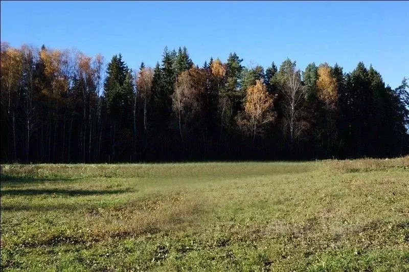 Участок в Московская область, Солнечногорск городской округ, д. ... - Фото 0