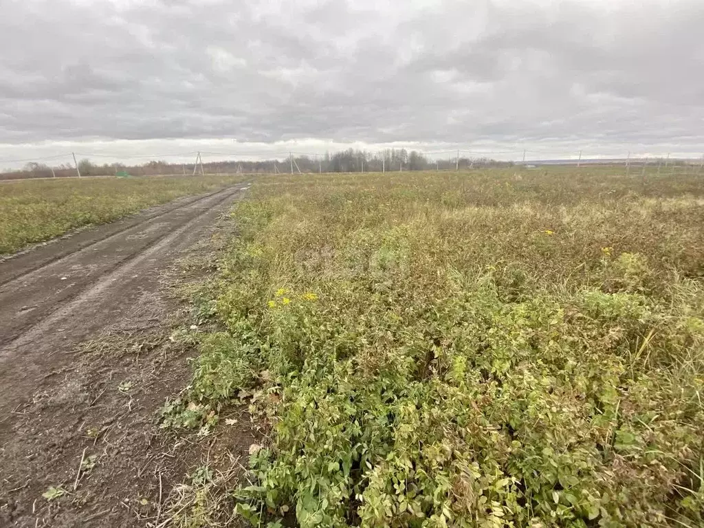Участок в Мордовия, Кочкуровский район, с. Булгаково ул. Северная ... - Фото 1