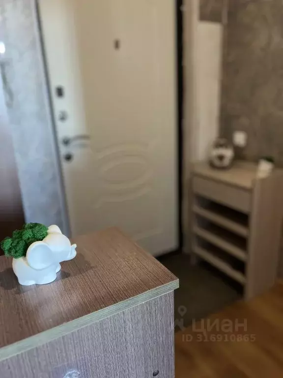 1-к кв. Ленинградская область, Сосновый Бор Пионерская ул., 4 (36.0 м) - Фото 0