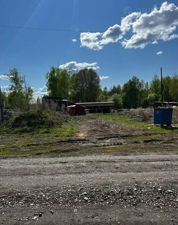 Участок в Томская область, с. Молчаново пер. Полевой (16.0 сот.) - Фото 0