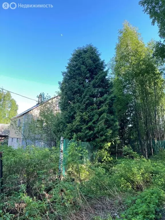 Дом в Ленинградская область, 41А-180 (60 м) - Фото 1
