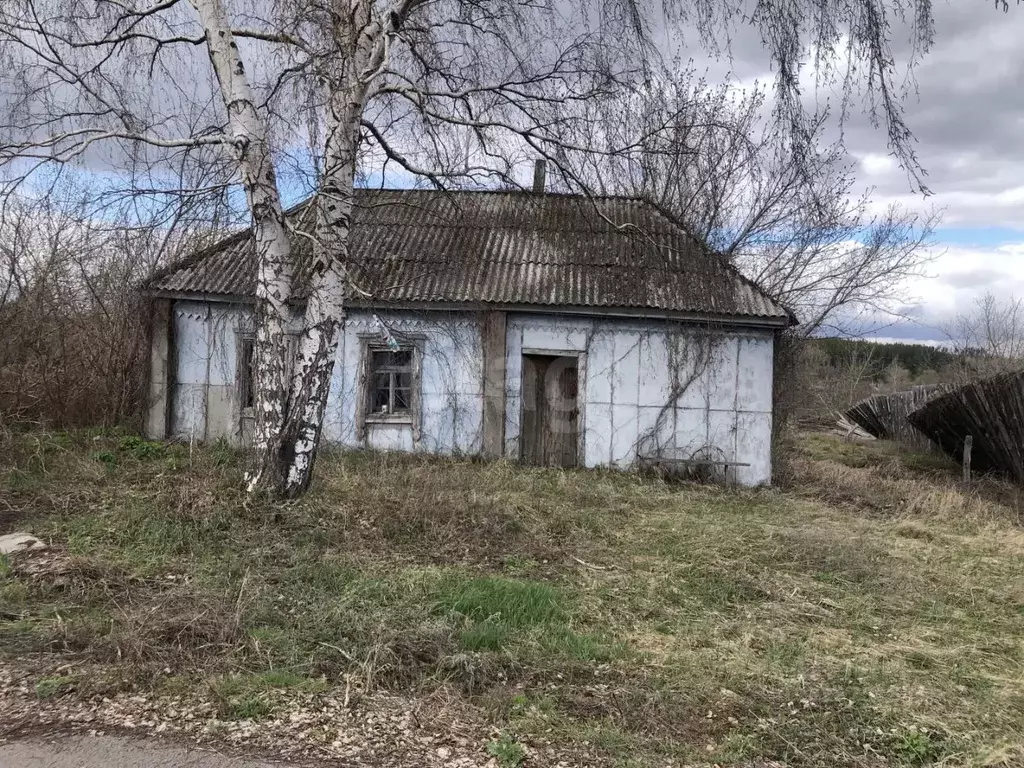 Участок в Воронежская область, Каширский район, Каменно-Верховское ... - Фото 2