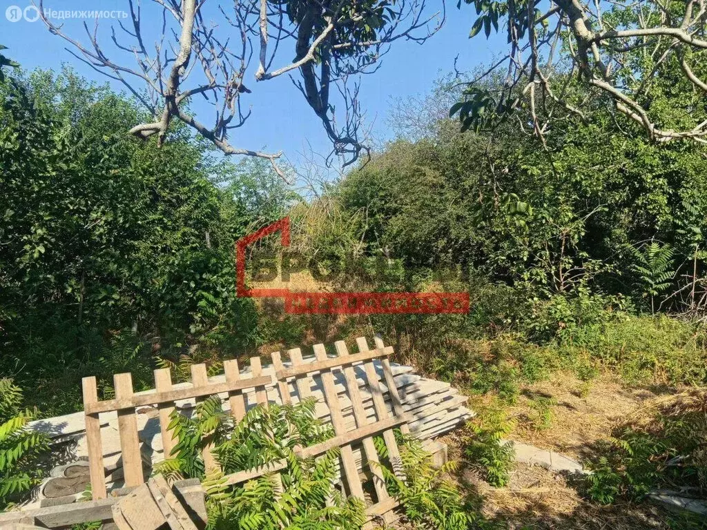 Участок в Севастополь, садоводческое товарищество Черноморец-2, 3 (7.4 ... - Фото 2