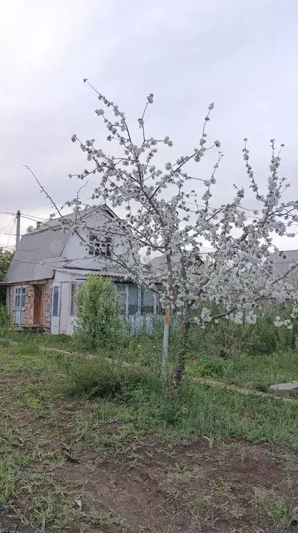 Дача 53,7 м на участке 10 сот. - Фото 1