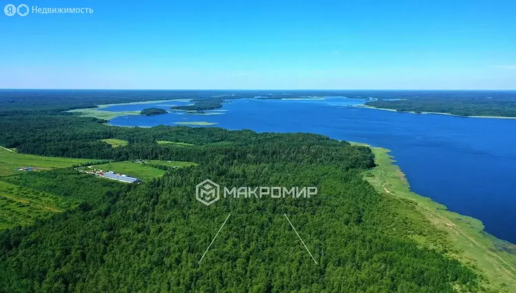 Участок в Приозерский район, Красноозёрное сельское поселение, деревня ... - Фото 2