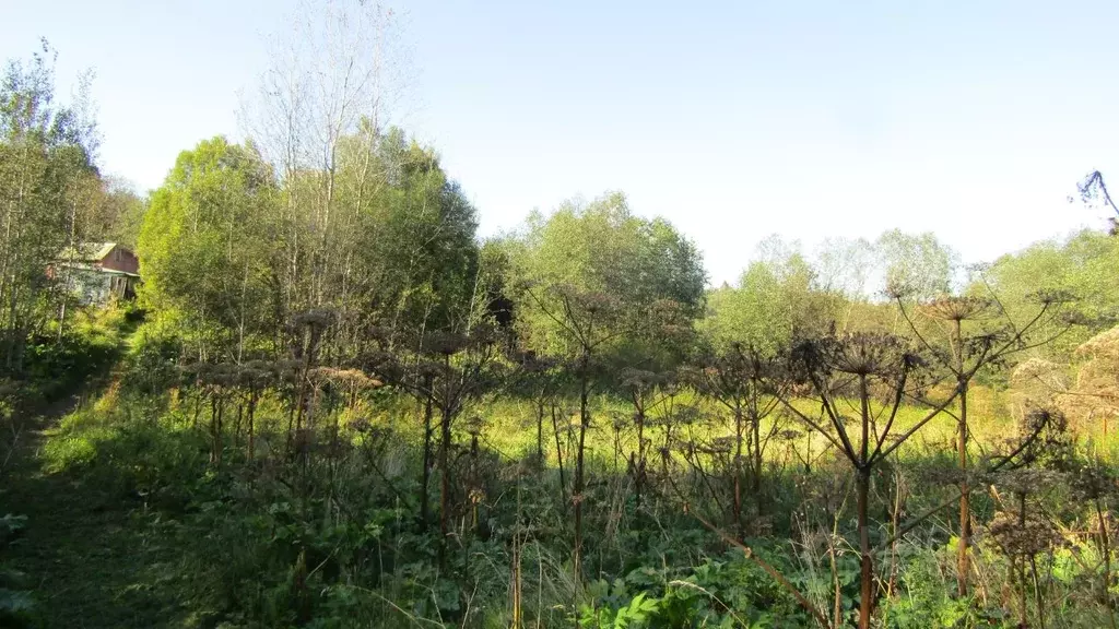 Участок в Московская область, Рузский муниципальный округ, д. Верхнее ... - Фото 2