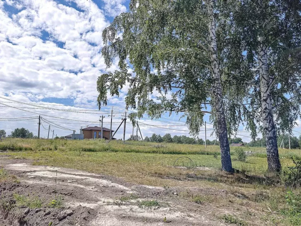 Участок в Новосибирская область, Новосибирский район, Раздольненский ... - Фото 1