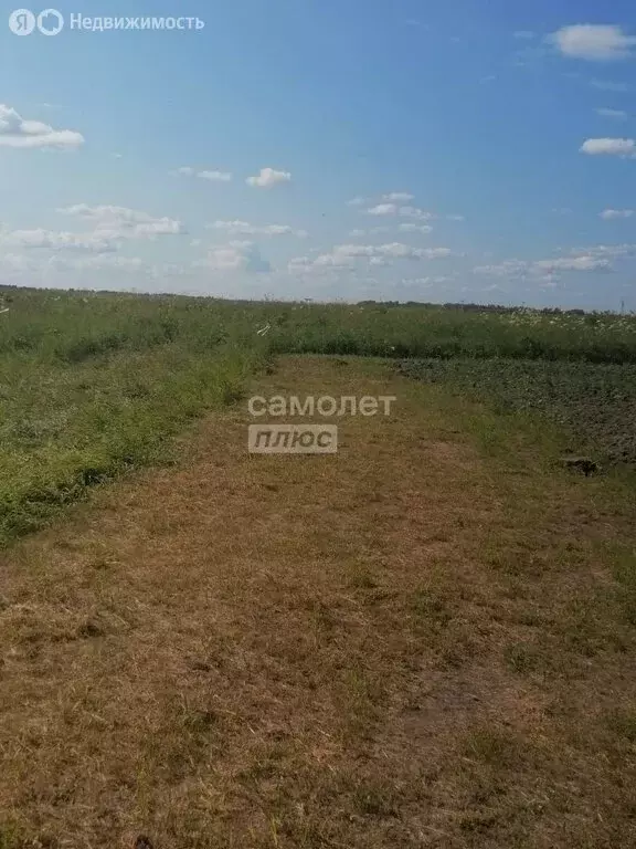 Участок в Нижнетавдинский район, село Тюнево (8.5 м) - Фото 0