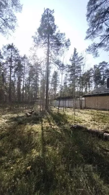 Участок в Ленинградская область, Всеволожск просп. Козлова, 44 (48.0 ... - Фото 2